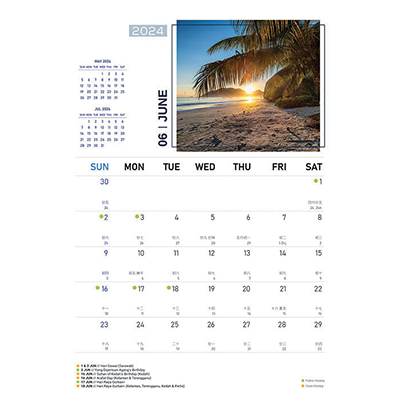 Majestic Beaches ll Wire-O Desk Calendar 2024 08