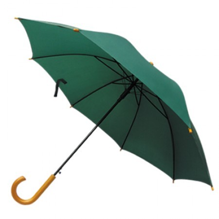 24" Unique J Handle Umbrella 01