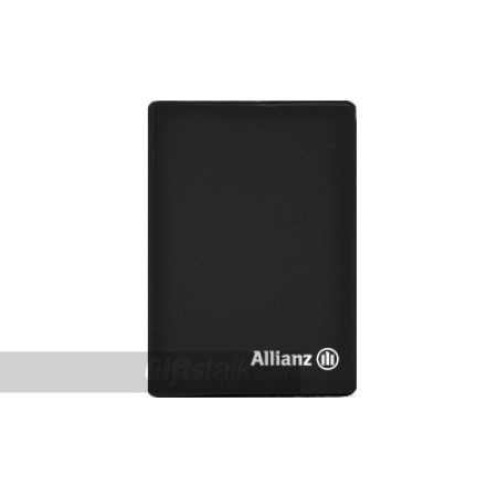 Mini Pocket Diary 01