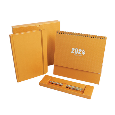 Pioneer Box Set 06