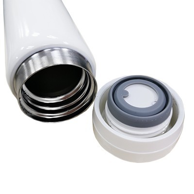 IRIS 316 Stainless Steel Thermos Flask - 280ml 10