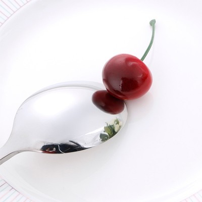 Japanese Stainless Steel Cutlery 04